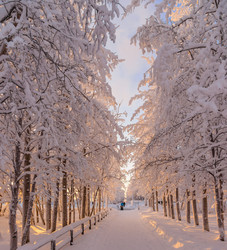 Similar image 21672001