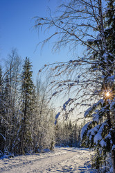 Similar image 21672005