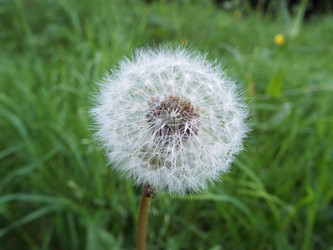 Similar image 21671660