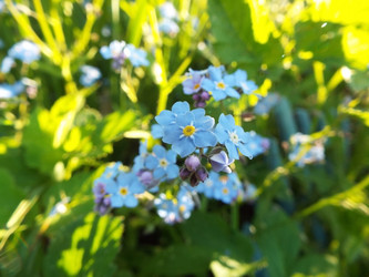 Similar image 21671661