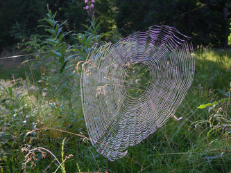 Similar image 21671662