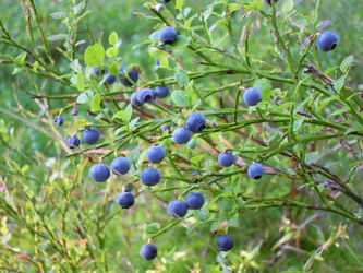 Similar image 21671666