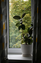 Similar image 21671667