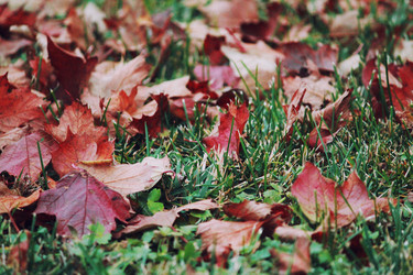 Similar image 21671670