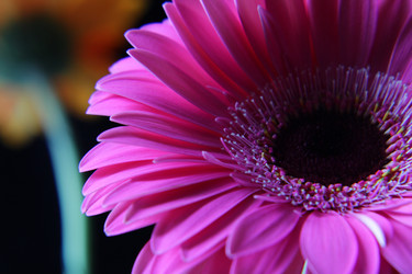 Similar image 21671671