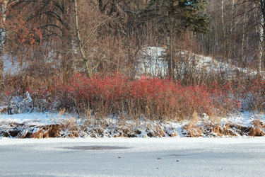 Similar image 21671672