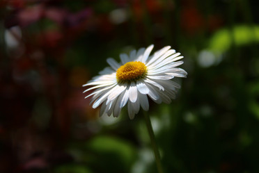 Similar image 21671673