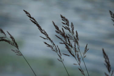 Similar image 21671674