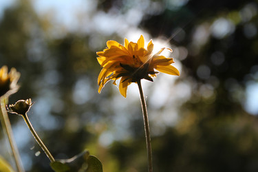 Similar image 21671677