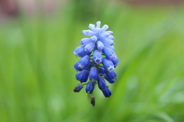 Similar image 21671679