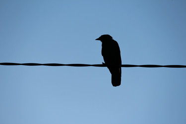 Similar image 21671680