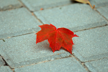 Similar image 21671683