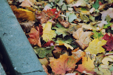 Similar image 21671684