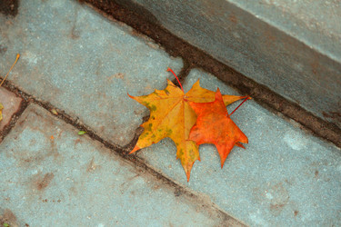 Similar image 21671685