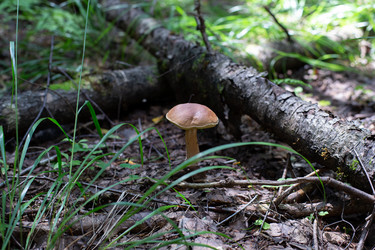 Similar image 21671687