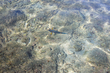 Similar image 21671697