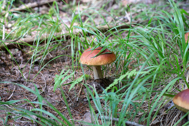 Similar image 21671703