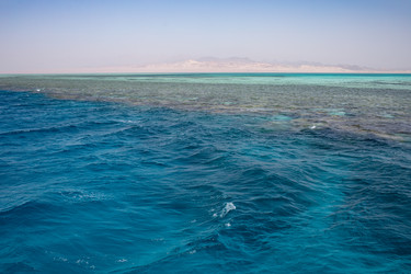 Similar image 21671704