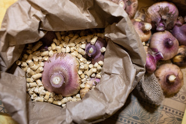 Similar image 21671708