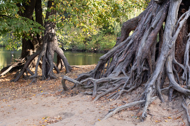 Similar image 21671715