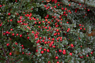 Similar image 21671717