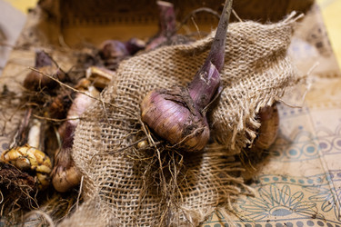 Similar image 21671718