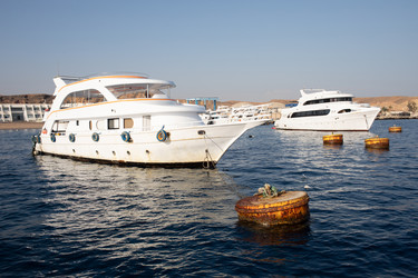 Similar image 21671719