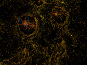 Similar image 21676357