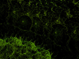 Similar image 21676463