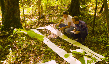 Similar image 21671855