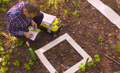 Similar image 21671856