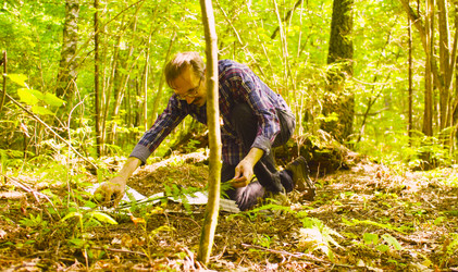 Similar image 21671857