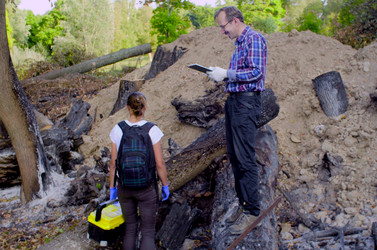 Similar image 21671872