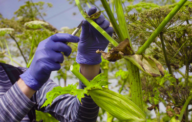 Similar image 21671877