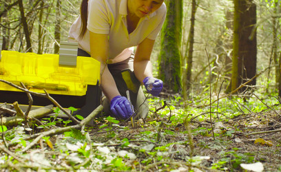 Similar image 21671880