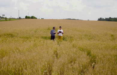 Similar image 21671882