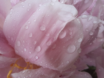 Similar image 21672083