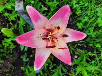 Similar image 21672084