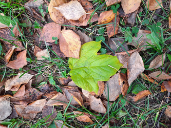 Similar image 21672085