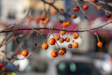 Similar image 21685381