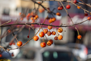 Similar image 21685382