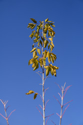 Similar image 21674743