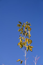 Similar image 21674744