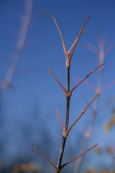 Similar image 21674745