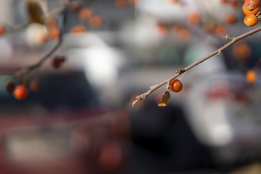 Similar image 21674754