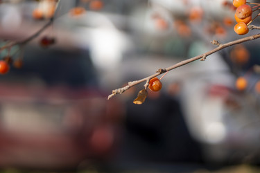 Similar image 21674755