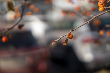 Similar image 21674756