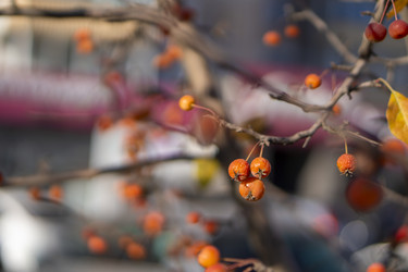 Similar image 21674757