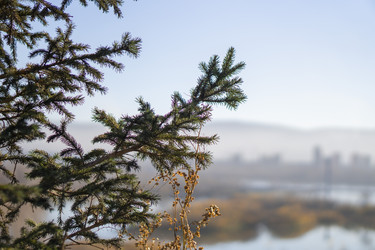 Similar image 21674770