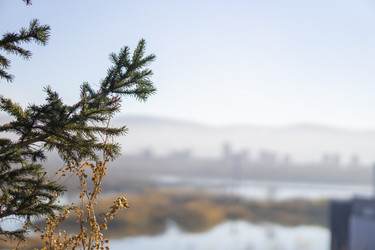 Similar image 21674773